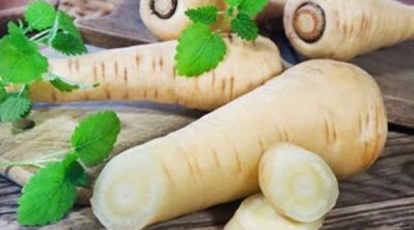 beneficiile nestiute ale pastarnacului