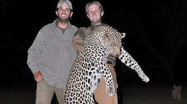 o hotarare a lui trump pune in pericol si mai mare o specie de animale care e pe cale de disparitie