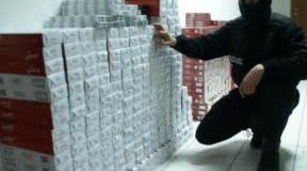 tigari de contrabanda de peste 230 000 lei conficate la frontiera de nord