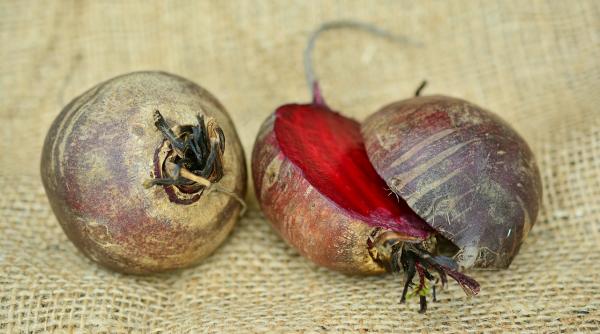 remedii cu sfecla rosie