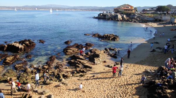 o plaja din california a fost evacuata dupa atacul unui rechin