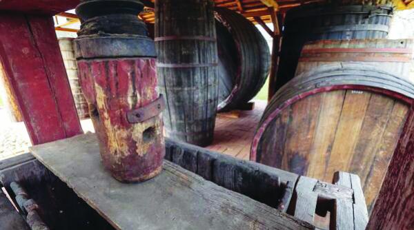 muzeul viticulturii si pomiculturii golesti