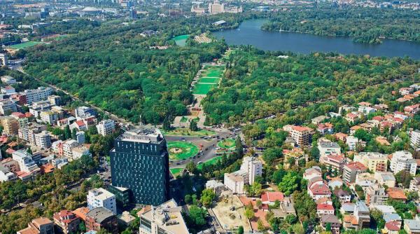 numarul firmelor cu capital strain a crescut cu 10 7