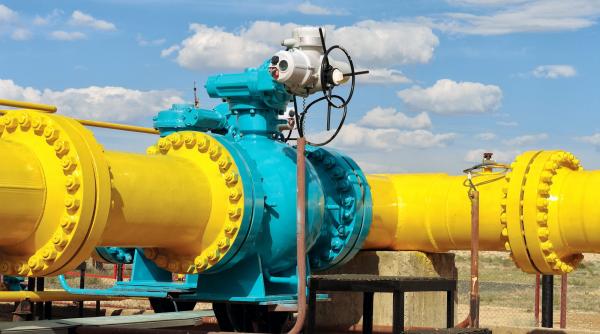 romgaz si a luat paznici garantati de sri