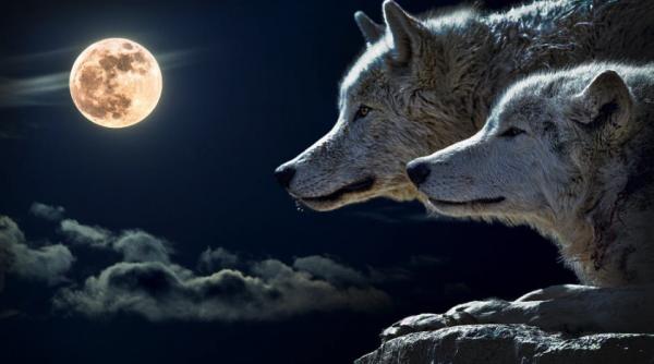 superstitii si traditii in noaptea de sfantul andrei