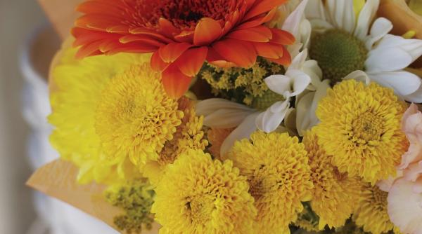 mesaje de sfantul andrei cele mai frumoase urari si sms pentru andrei si andreea