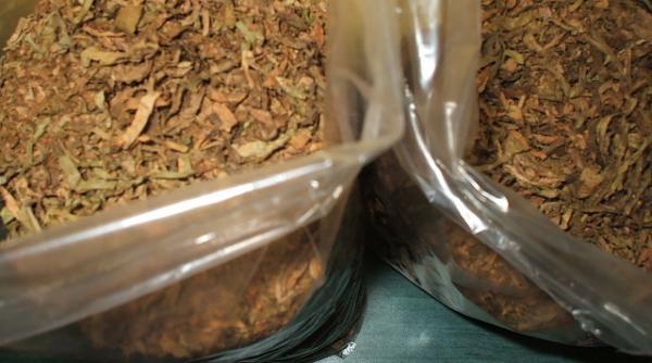 tutun de contrabanda in valoare de un milion de euro confiscat la bechet