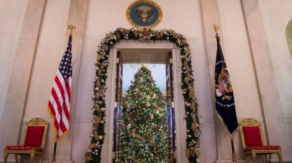 casa alba infestata cu soareci gandaci si furnici