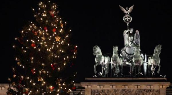 pomul de craciun din acest an de la vatican este un brad gigantic din polonia