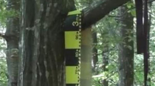 descoperire macabra in olt un tanar de 18 ani a fost gasit spanzurat in padurea strehareti din slatina