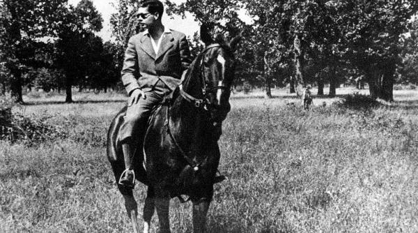 regele mihai i o tara fara trecut si istorie n are niciun viitor