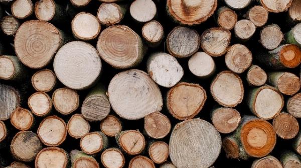 romania a ajuns sa plateasca cel mai mare pret pe resursa de lemn din europa