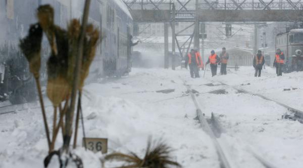 mai multe trenuri blocate in harghita din cauza copacilor cazuti