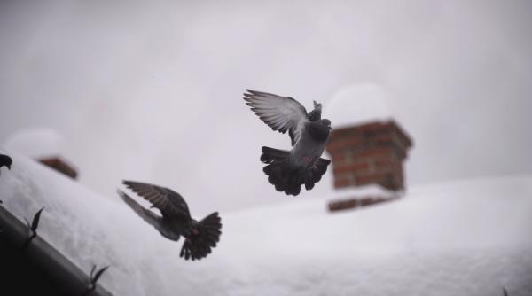 prognoza meteo pentru intervalul 11 24 decembrie cum va fi vremea pana la craciun si cand va veni gerul