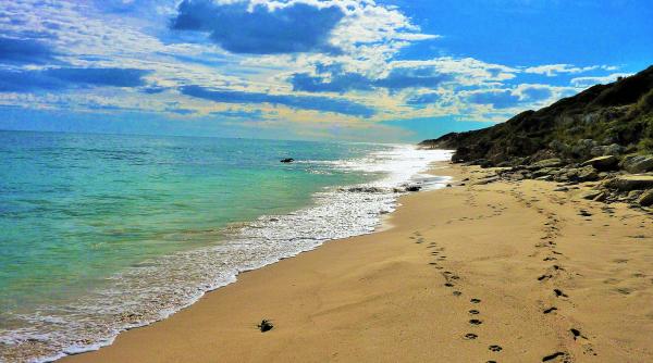 dronele salvamari implementate pentru a preveni atacurile rechinilor