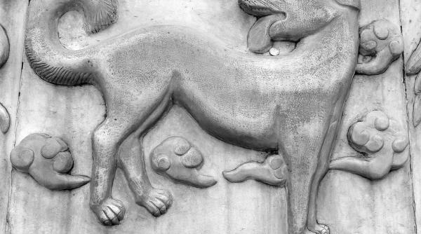 horoscop chinezesc 2018 schimbari importante in anul cainelui de pamant