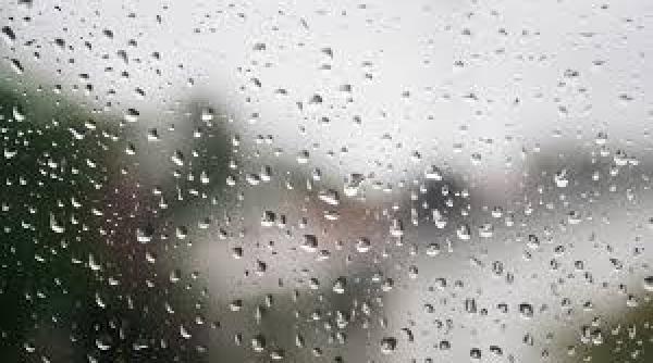 cod galben de ploi slabe si polei