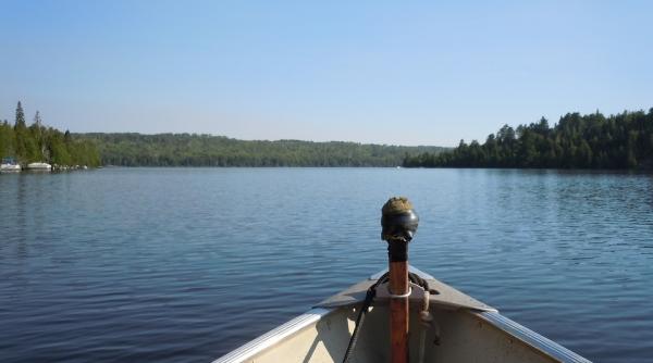 barbat decedat dupa ce a cazut dintr o barca in care se aflau un politist si un jandarm