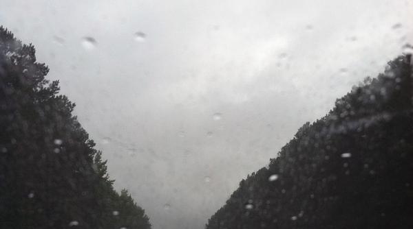 cod galben de ceata si ploi