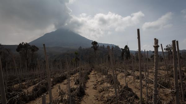 vulcanul sinabung a erupt din nou