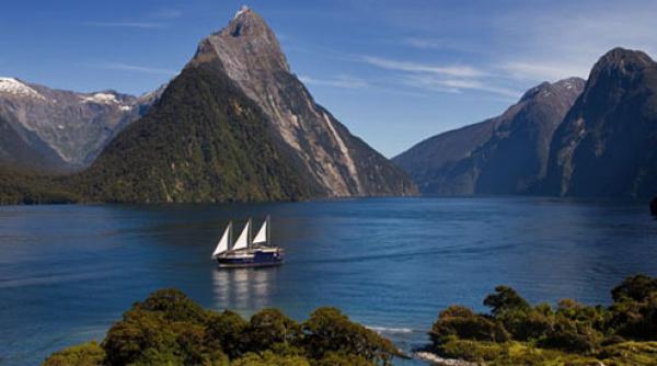 decizie inedita in noua zeelanda mai multi localnici si au facut o insula ca sa scape de o interdictie de consum de alcool in public