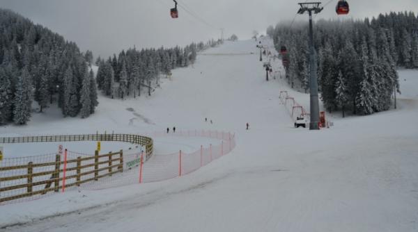 un urs a aparut miercuri seara in zona cabanei postavarul si a partiei drumul rosu din poiana