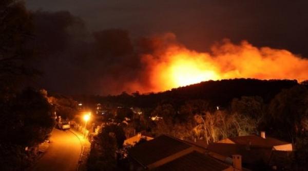 furtuna eleonor face victime in corsica