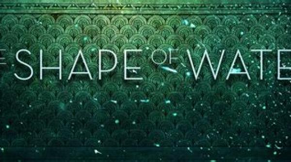 the shape of water si call me by your name printre filmele nominalizate la writers guild awards