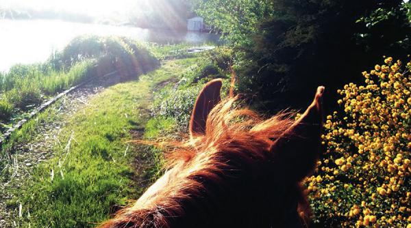 romania vazuta din saua calului