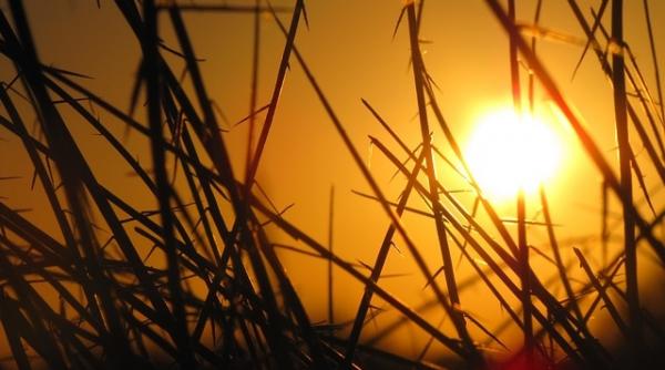 australia 2017 al treilea cel mai caduros an din istoria inregistrarilor meteorologice