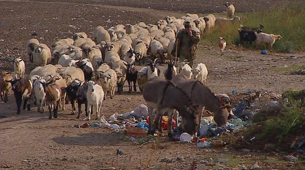 romania inecata in gropi de gunoi clandestine