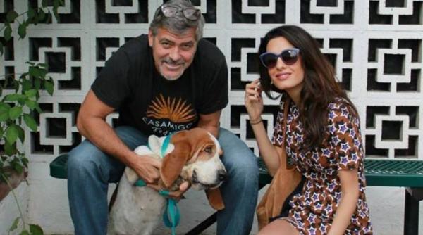 dupa 20 de ani george clooney revine in televiziune