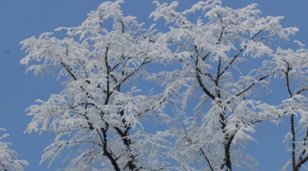 prognoza meteo pentru 16 17 si 18 ianuarie ninsori in toata tara