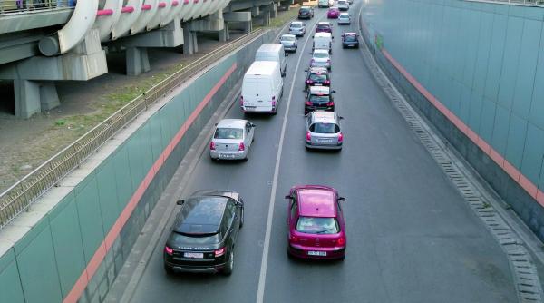 romania a fost invadata anul trecut de rable