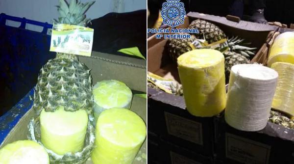 video 745 kg de cocaina gasite in ananasi proaspeti