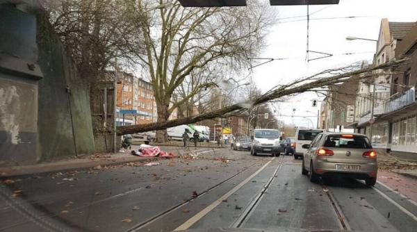 video furtuna friederike face ravagii in europa mai multi oameni au murit iar pagubele materiale sunt seminificative