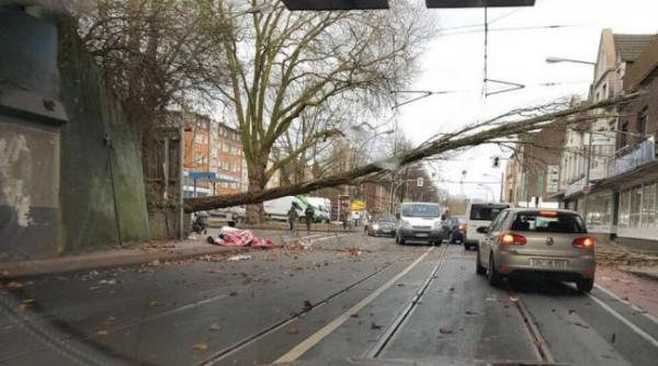 furtuna friederike a produs noua morti in nordul europei si haos in transporturi
