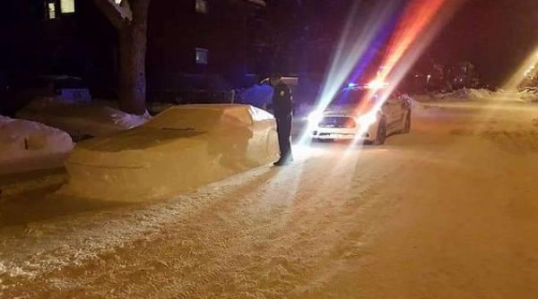 canada o masina sculptata in zapada i a indus in eroare pe politisti