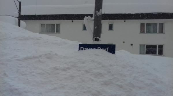 forumul economic mondial de la davos in pericol