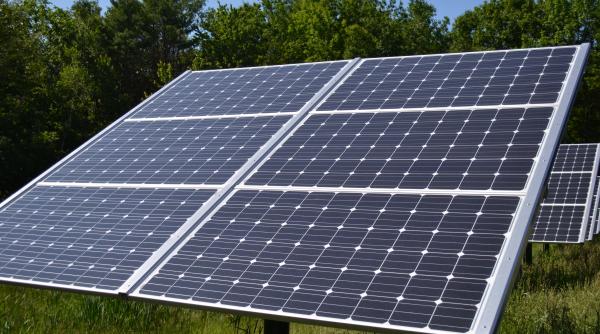 tarife controversate pentru importurile din sua