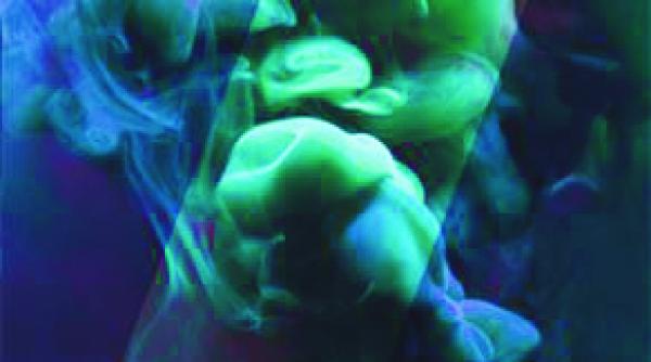 cartile de dragoste care n ar trebui sa lipseasca de pe noptiera