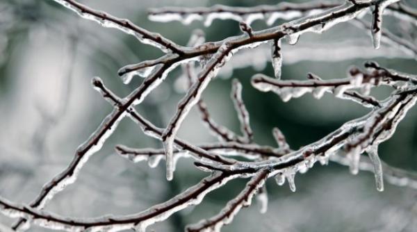 ger siberian au fost 21 de grade in romania prognoza pentru urmatoarele zile