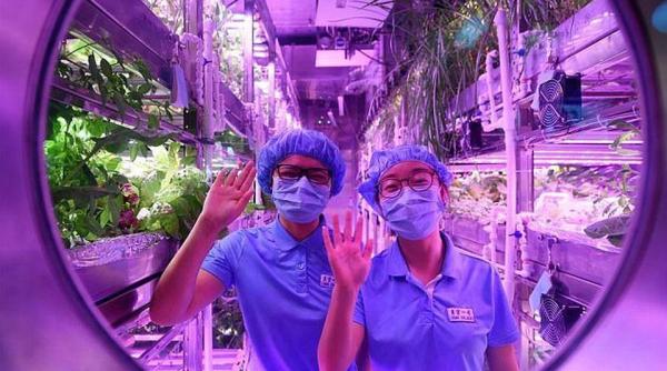 experiment inedit patru studenti din china au trait 200 de zile intr un modul care simuleaza conditiile de pe luna