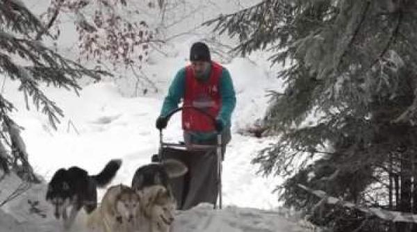 concurs inedit cu sanii trase de caini la baile tusnad