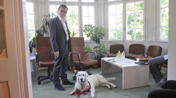 intalnire intre liderii pnl si udmr in chestiunea sustinerii guvernului dancila