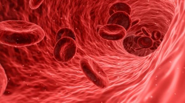 de ce trebuie sa renunti imediat la acest aliment