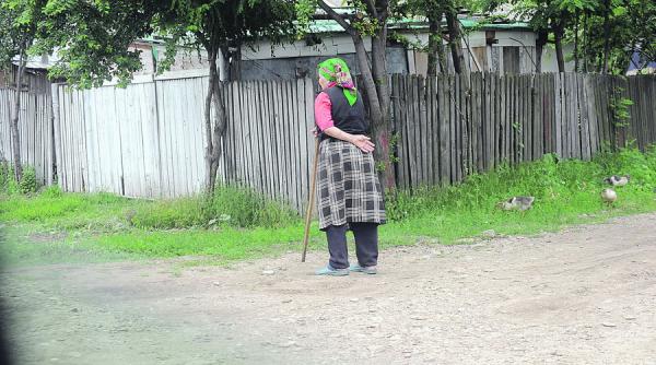 in timp ce transilvania se urbanizeaza mica romanie se muta la tara