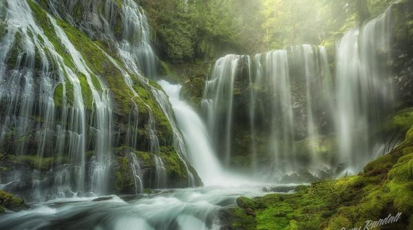 gigantul nestle pus la colt de un orasel american