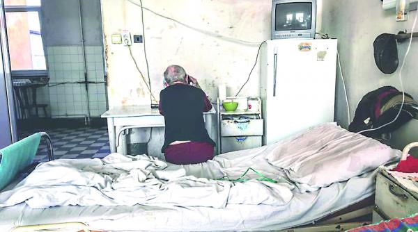 raiul microbilor de la timisoara