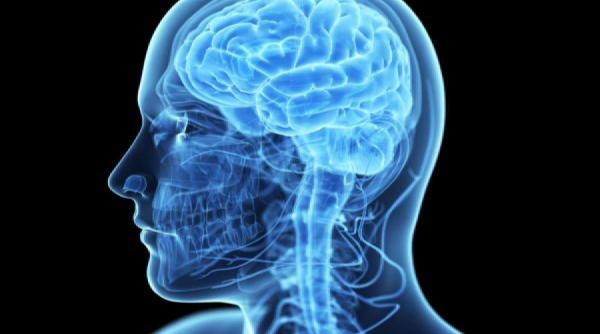 oamenii de stiinta au descoperit cum se pot sterge amintirile nedorite